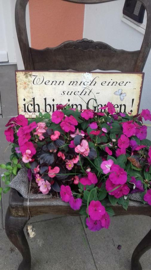 Fewo 1 Waren Mueritz - Haus Buchen Am Tiefwarensee - 1 Zi 외부 사진